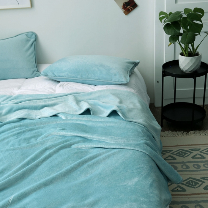 91家纺网 家纺一手货源 找家纺 总2025纯色加厚法莱绒毛毯珊瑚绒毯子多规格盖毯1.5KG