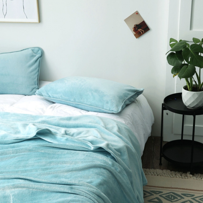 91家纺网 家纺一手货源 找家纺 总2025纯色加厚法莱绒毛毯珊瑚绒毯子多规格盖毯1.5KG