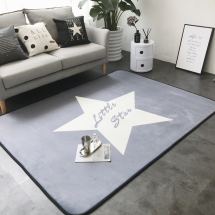 昔可家纺 新款chic风大地垫Little-star