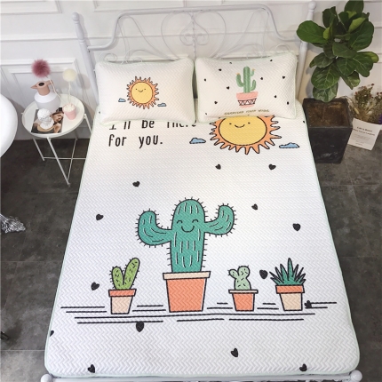 昔可 chic风高颜值亲肤天丝空调软席三件套仙人掌