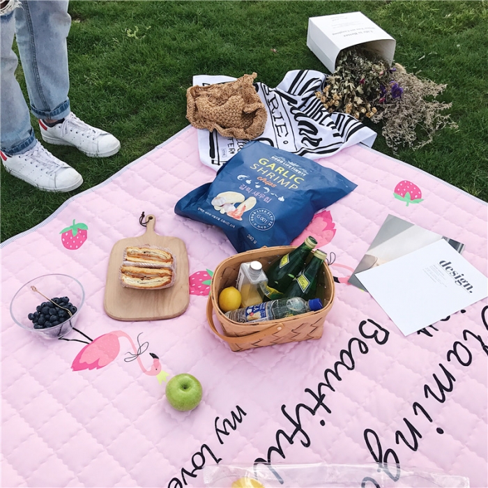 91家纺网 家纺一手货源 找家纺 昔可家纺 2018新款野餐垫 草莓火鸟