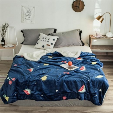 昔可家纺 2018新品羊羔绒毛毯 菠萝樱桃