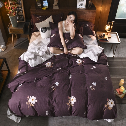 芃成家纺 磨毛水洗棉四件套 风情淡雅