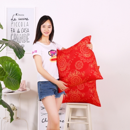 91家纺网 家纺一手货源 找家纺 贤内助家纺 磨毛婚庆抱枕枕头枕芯60*60红色