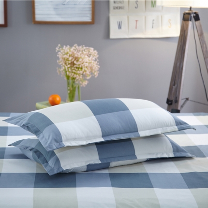 曼璐家纺 芦荟棉枕套一对拍二单只装青春旋律