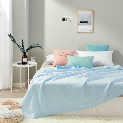 珺柔家纺 无印良品天竺棉夏凉被-小格子兰