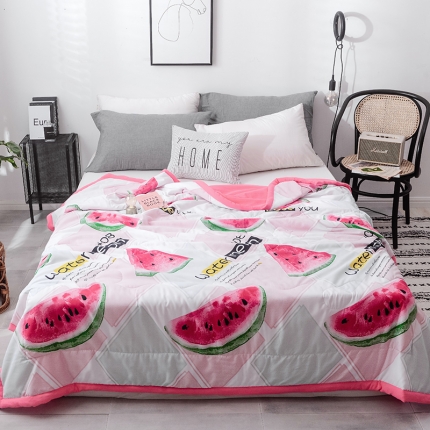 91家纺网 家纺一手货源 找家纺 珺柔 2019水洗印花夏凉被  大西瓜