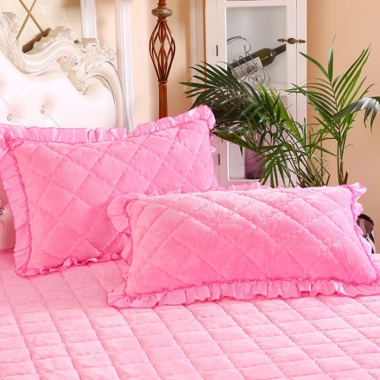 91家纺网 家纺一手货源 找家纺 （总）情恒家纺 2020新款法莱绒夹棉枕套一对48*74