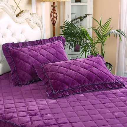 91家纺网 家纺一手货源 找家纺 （总）情恒家纺 2020新款法莱绒夹棉枕套一对48*74