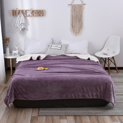 91家纺网 家纺一手货源 找家纺 外贸原单冬季毛毯加厚保暖双层纯色简约毯子微商网红爆款珊瑚绒毯