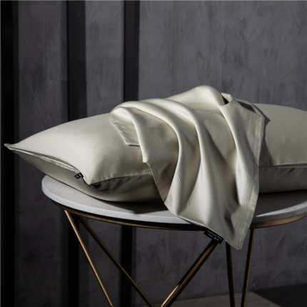 91家纺网 家纺一手货源 找家纺 （总）网客 2024新款玻尿酸亲肤枕套一对装