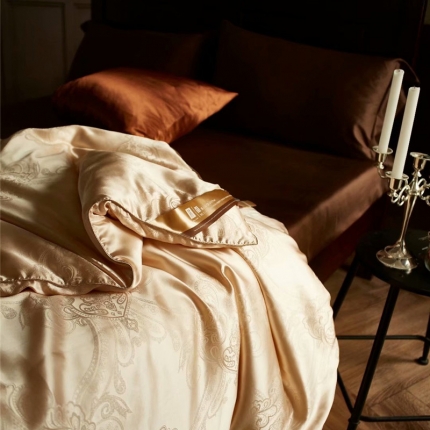 91家纺网 家纺一手货源 找家纺 （总）洁蚕居 2019新款真丝桑蚕丝被