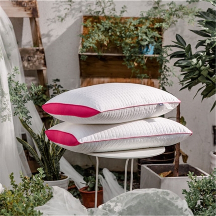 91家纺网 家纺一手货源 找家纺 境月 乐享生活枕--妩媚红