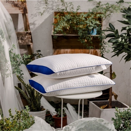 91家纺网 家纺一手货源 找家纺 境月 乐享生活枕--绅士蓝