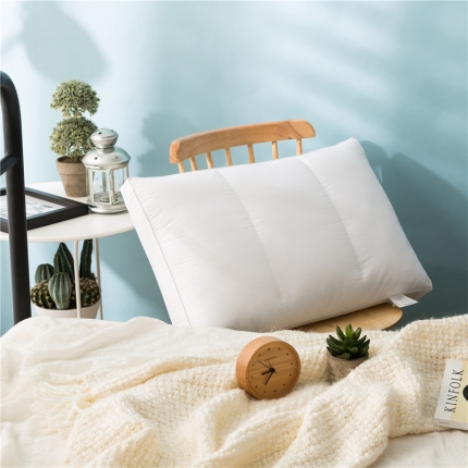 91家纺网 家纺一手货源 找家纺 （总）境月枕芯 2018新款枕头枕芯定型枕酒店枕混合记忆枕