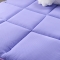 91家纺网 家纺一手货源 找家纺 宁皇家纺 磨毛床垫 紫色