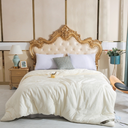 91家纺网 家纺一手货源 找家纺 （总）桂雅居家纺 2019新款秋冬轻奢有氧蛋白被