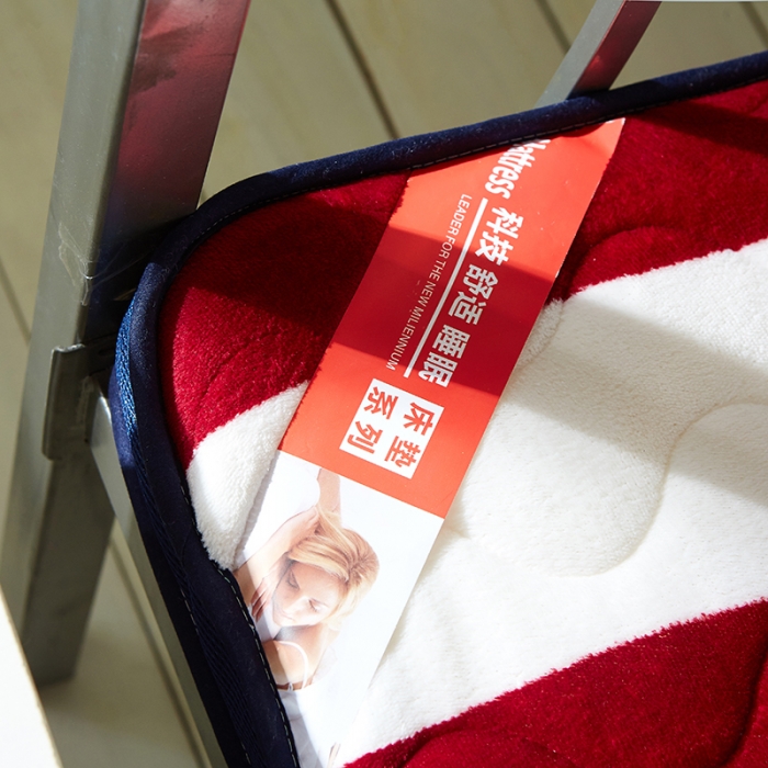 91家纺网 家纺一手货源 找家纺 欣罗兰 2022新款法莱绒床垫6cm 格林星空