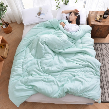 欣罗兰 2022新款2kg化纤冬被 水绿