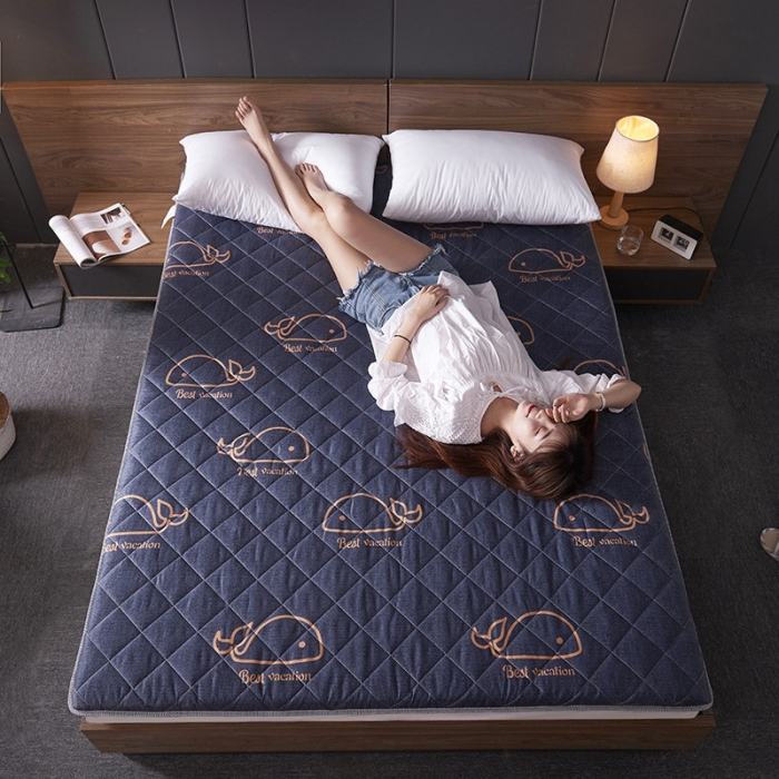 91家纺网 家纺一手货源 找家纺 欣罗兰垫业 2022新款单边磨毛大床垫 小蓝鲸（厚度6cm）