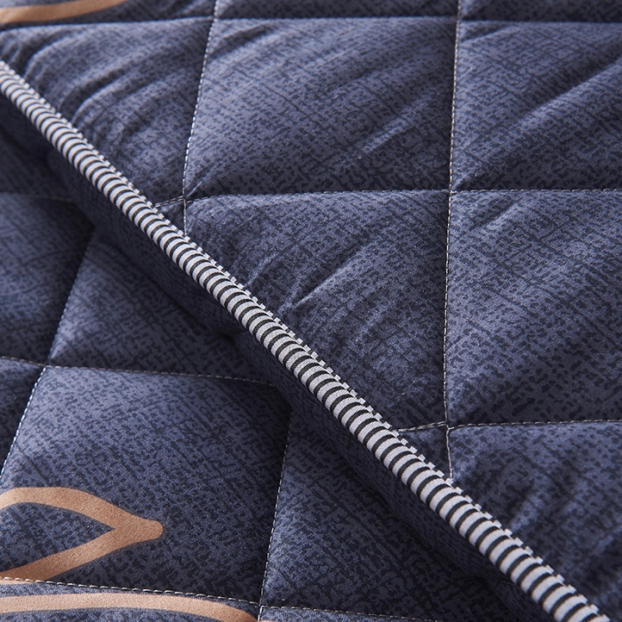 91家纺网 家纺一手货源 找家纺 欣罗兰垫业 2022新款单边磨毛大床垫 小蓝鲸（厚度6cm）