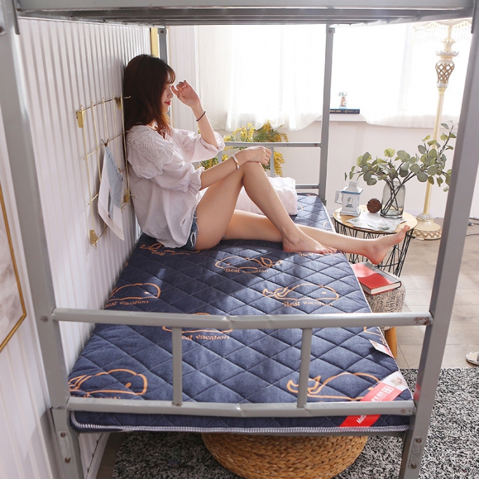 91家纺网 家纺一手货源 找家纺 欣罗兰垫业 2022新款单边磨毛小床垫 小蓝鲸（厚度6cm）