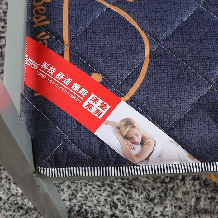 91家纺网 家纺一手货源 找家纺 欣罗兰垫业 2022新款单边磨毛小床垫 小蓝鲸（厚度6cm）