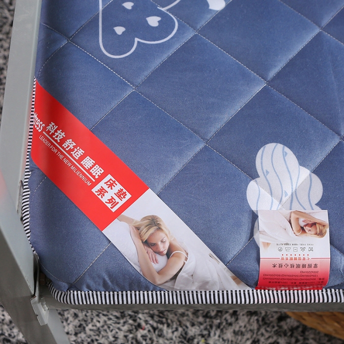 91家纺网 家纺一手货源 找家纺 欣罗兰垫业 2022新款单边磨毛小床垫 云朵（厚度6cm）