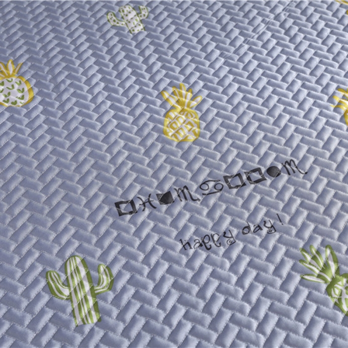 91家纺网 家纺一手货源 找家纺 一米阳光 2019新款冰丝空调软席 仙人掌