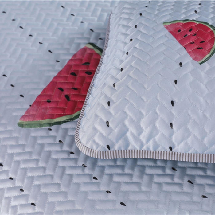 91家纺网 家纺一手货源 找家纺 一米阳光 2019新款冰丝空调软席 西瓜派对