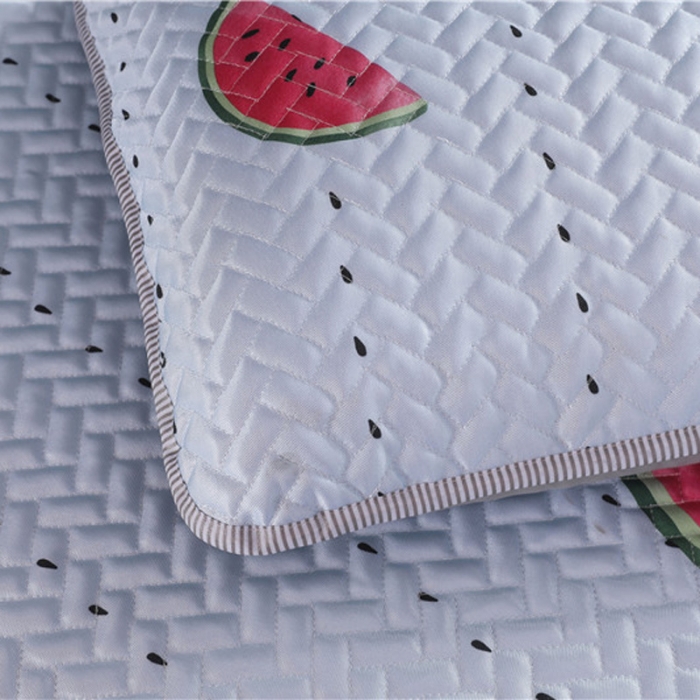 91家纺网 家纺一手货源 找家纺 一米阳光 2019新款冰丝空调软席 西瓜派对