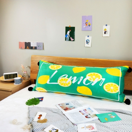 91家纺网 家纺一手货源 找家纺 （总）希诺 2019新款水晶绒长靠垫