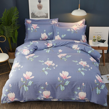 雲归梦 2019新款多规格全棉加厚生态磨毛四件套 春日妮彩