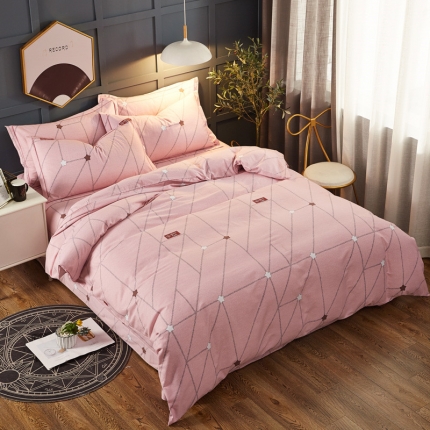 雲归梦 2019新款多规格全棉加厚生态磨毛四件套 西子恋人-粉