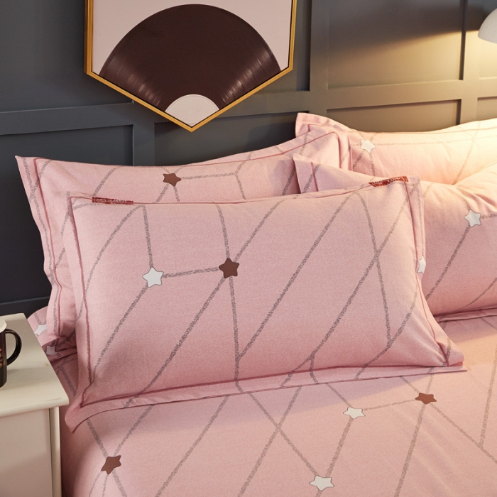 91家纺网 家纺一手货源 找家纺 雲归梦 2019新款多规格全棉加厚生态磨毛四件套 西子恋人-粉