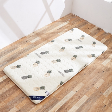 91家纺网 家纺一手货源 找家纺 (总）寐珂家纺 新款6cm厚水洗棉床垫