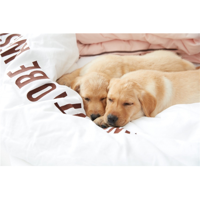 91家纺网 家纺一手货源 找家纺 （总）918家纺 i want全棉磨毛冬被