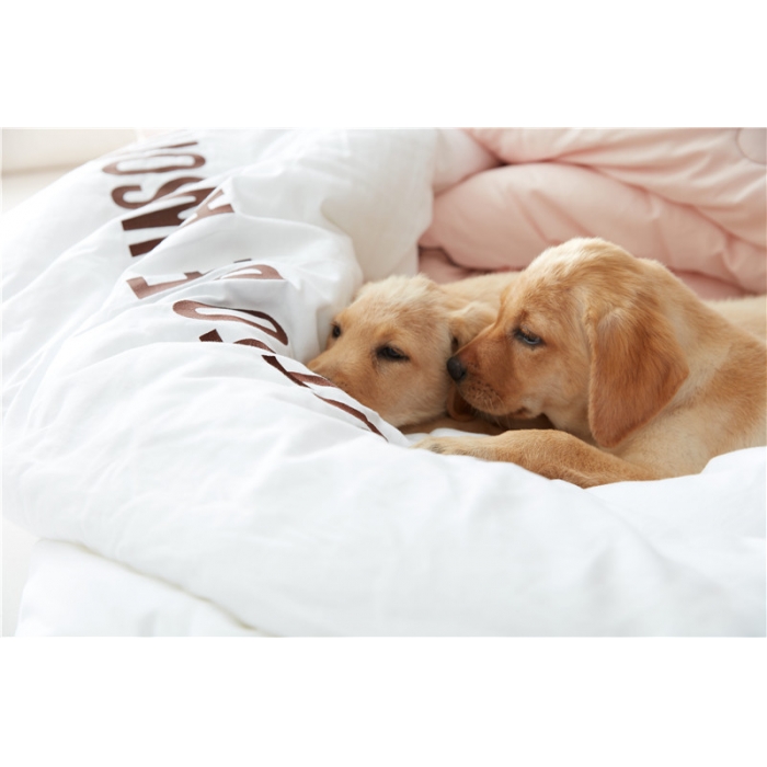 91家纺网 家纺一手货源 找家纺 （总）918家纺 i want全棉磨毛冬被