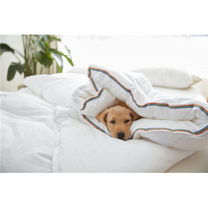 91家纺网 家纺一手货源 找家纺 918家纺 13372全棉珠光印花春秋被彩虹被 白色