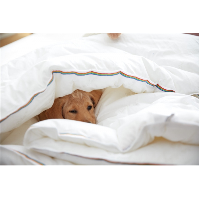 91家纺网 家纺一手货源 找家纺 918家纺 13372全棉珠光印花春秋被彩虹被 白色