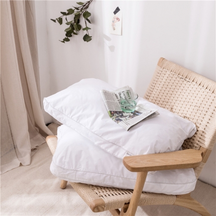 91家纺网 家纺一手货源 找家纺 （总）918家纺 2021新款促销款枕芯纯棉羽丝绒枕单只