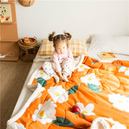 （总）北纬27度 2019新款ins风安抚豆豆绒夹棉毯