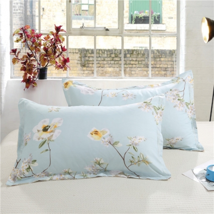 赫然家纺 芦荟棉单品枕套一对48*74 情谊正浓