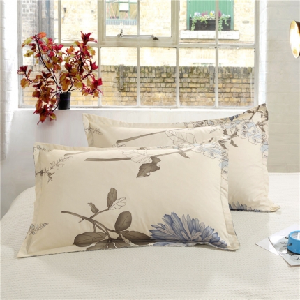 赫然家纺 芦荟棉单品枕套一对48*74 似水流年