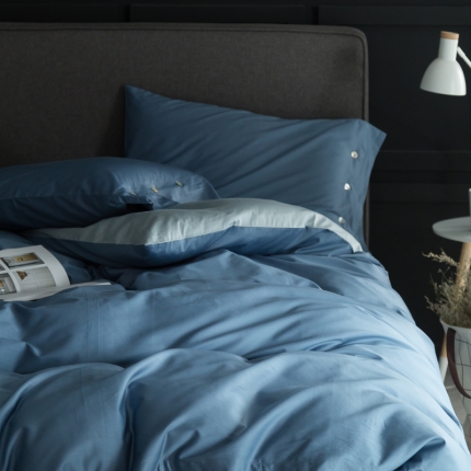 涞澳家纺 长绒棉素色双拼四件套 兰兰