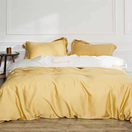 涞澳 2019新款60天丝工艺款套件 殊