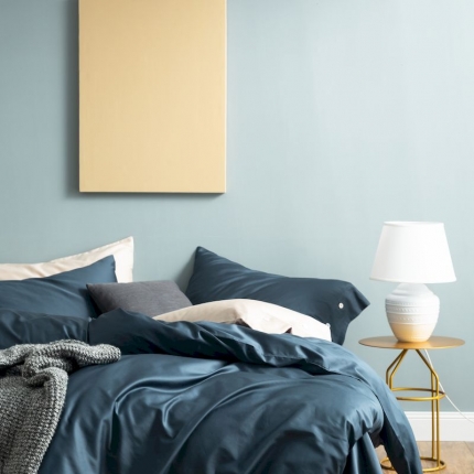 涞澳家纺 2019新款60长绒棉平色简易四件套 星蓝