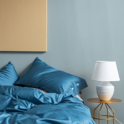 涞澳家纺 2019新款60长绒棉平色简易四件套 月光蓝