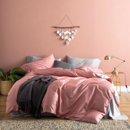 涞澳家纺 2019新款60长绒棉平色二简易四件套 帝灰配颊红