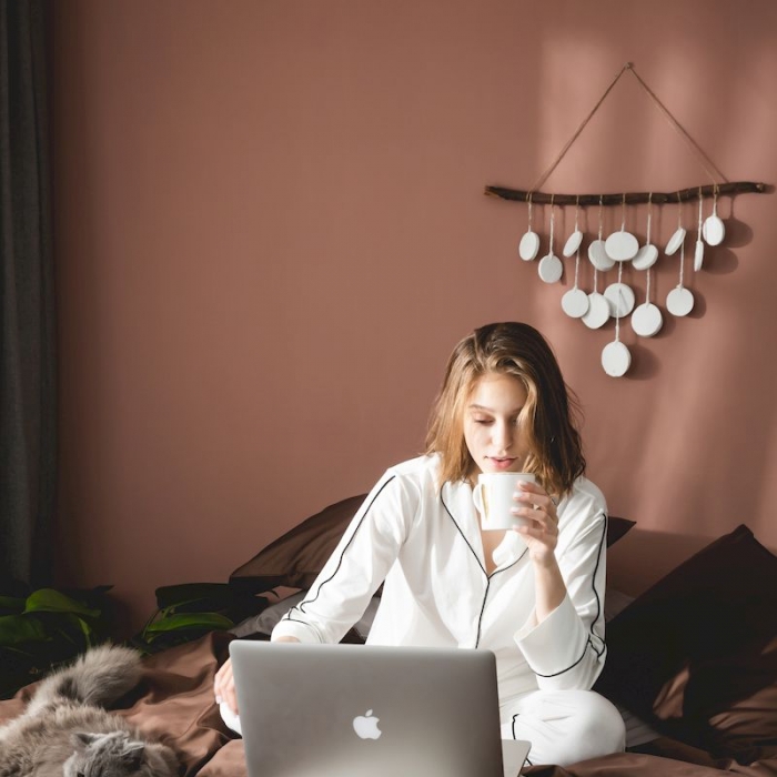 91家纺网 家纺一手货源 找家纺 涞澳家纺 2019新款60长绒棉平色二简易四件套帝灰配咖啡棕